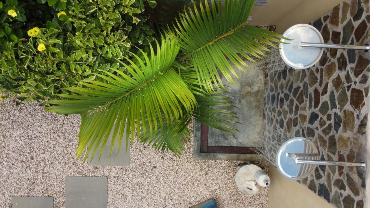 Bamboo Bonaire By Boutique Bonaire Unique Resorts クラレンダイク エクステリア 写真