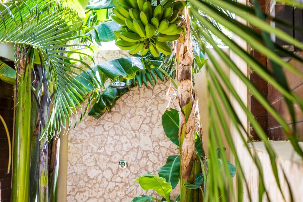 Bamboo Bonaire By Boutique Bonaire Unique Resorts クラレンダイク エクステリア 写真