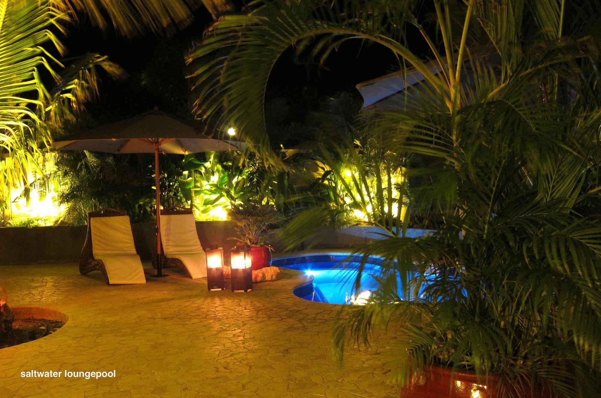 Bamboo Bonaire By Boutique Bonaire Unique Resorts クラレンダイク エクステリア 写真