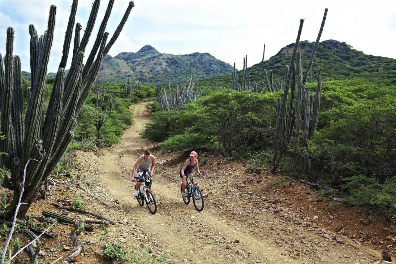 Bamboo Bonaire By Boutique Bonaire Unique Resorts クラレンダイク エクステリア 写真