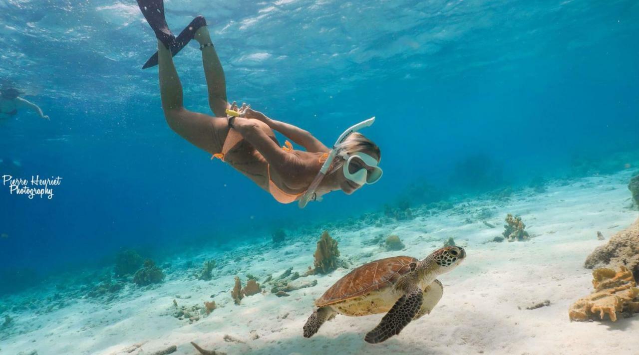 Bamboo Bonaire By Boutique Bonaire Unique Resorts クラレンダイク エクステリア 写真